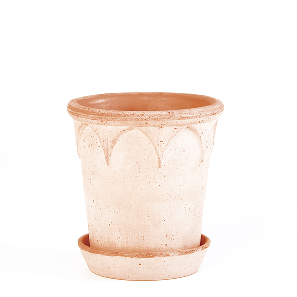 BP ���ꥶ�٥�14 �ʥ�����ʥ��åȡ�4��