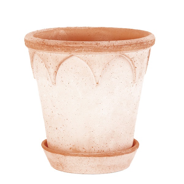 BP ���ꥶ�٥�18 �ʥ�����ʥ��åȡ�2��