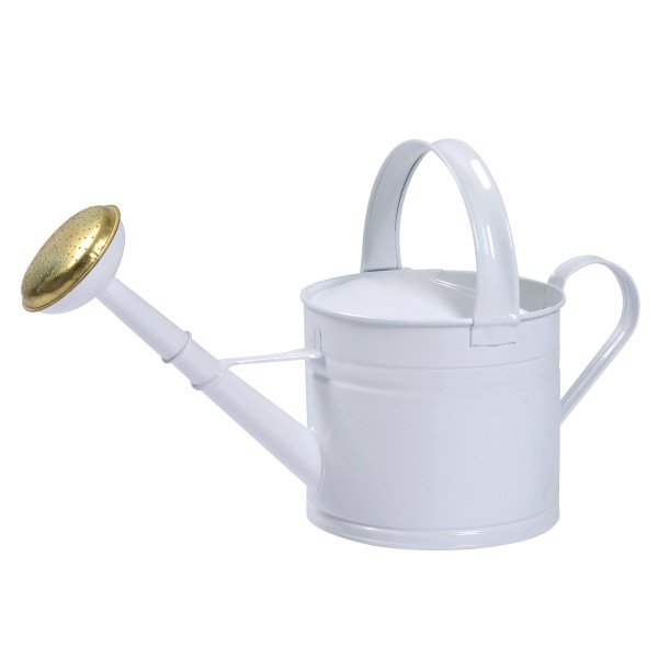 �֥ꥭ����������󥰥���4L  �ۥ磻�ȡʥ��å�:2��