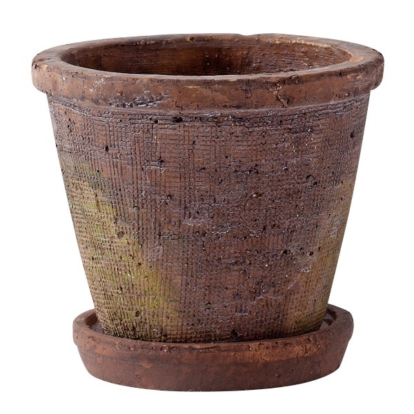 �����٥ݥå�18 �ƥ饳�å��ʥ��å�:6��