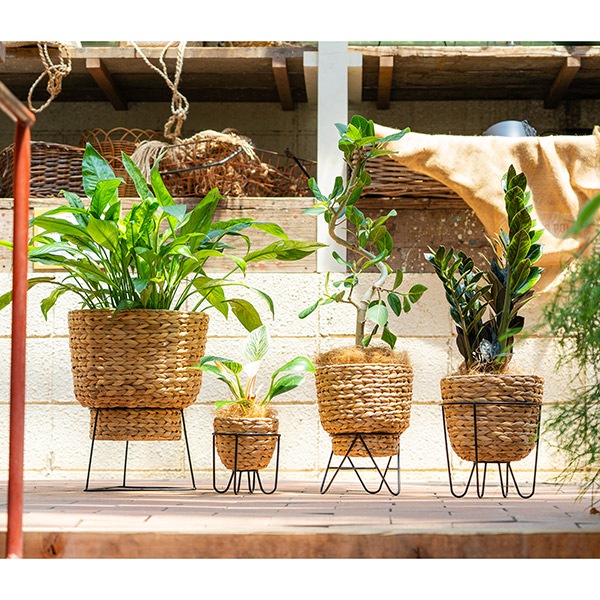 �եե�����å��̡ʥ��åȡ�4��