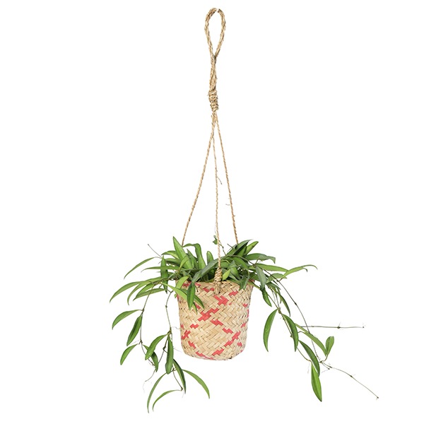 LOCA Хå12HG åɡʥåȡ4