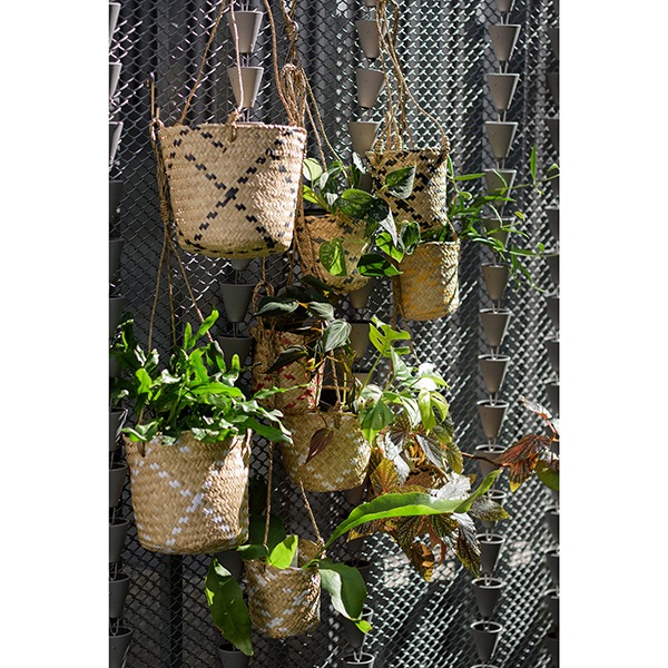 LOCA Хå12HG åɡʥåȡ4