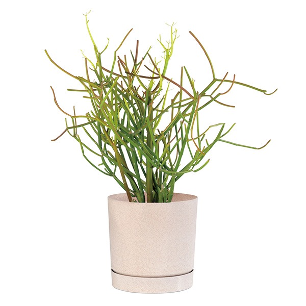 PROSP TUBO�����ݥå�18 �ۥ磻�ȡʥ��åȡ�4��