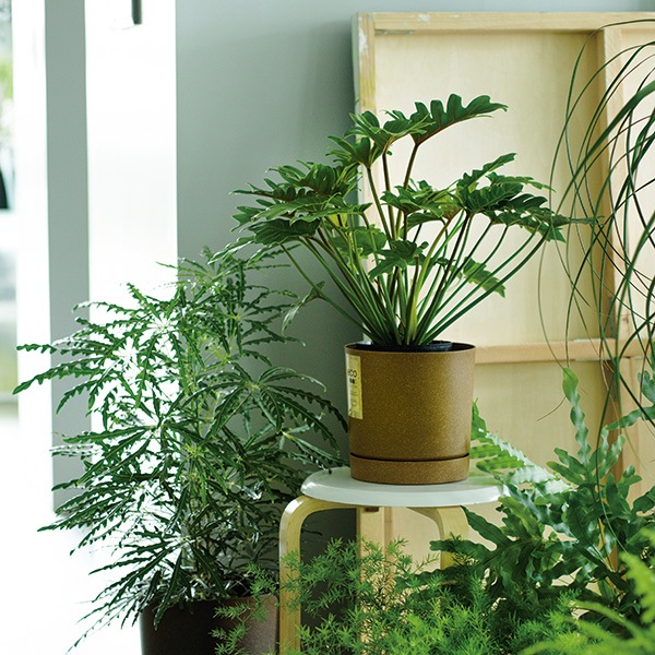 PROSP TUBO�����ݥå�18 �ۥ磻�ȡʥ��åȡ�4��