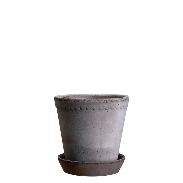 BP�إ��8.5 ���졼�ʥ��åȡ�6��