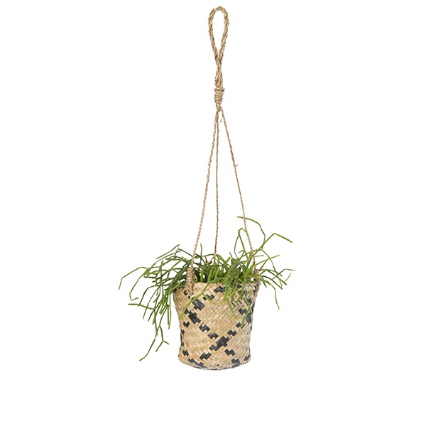 LOCA �Х����å�12HG �֥�å��ʥ��åȡ�4��