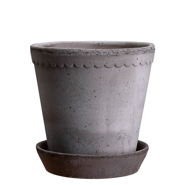 BP�إ��18 ���졼�ʥ��åȡ�4��