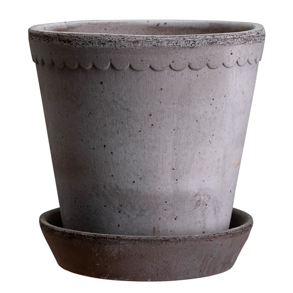 BP�إ��25 ���졼�ʥ��åȡ�2��