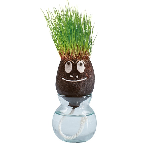 �С��Х⥸�� �إ�����󥸥��åȡʥ��åȡ�12)