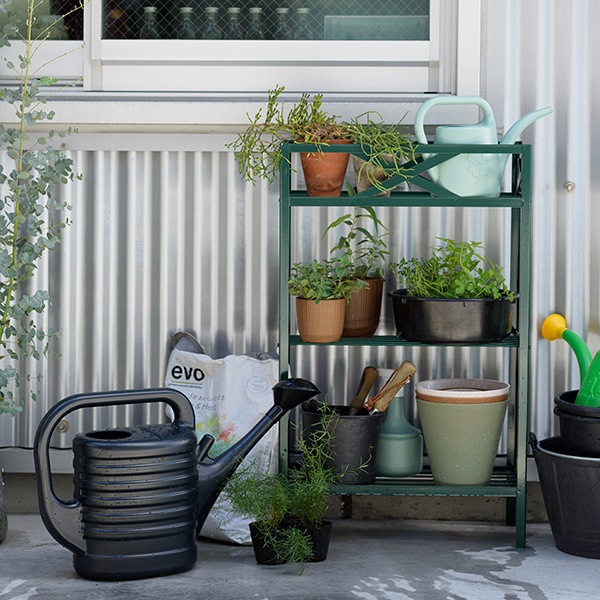 PROSP ZEBRA󥰥10L ȥ饷åȡʥåȡ2