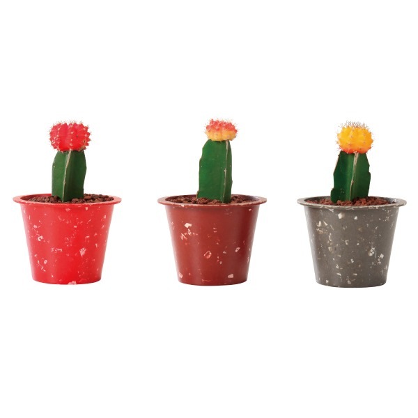 ���顼�إåɥ��ܥƥ� �������åץޡ��֥�ݥå�9C�ʥ��å�:18��