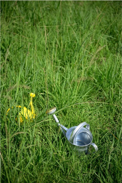 �֥ꥭ����������󥰥���4L ����С��ʥ��å�:2��