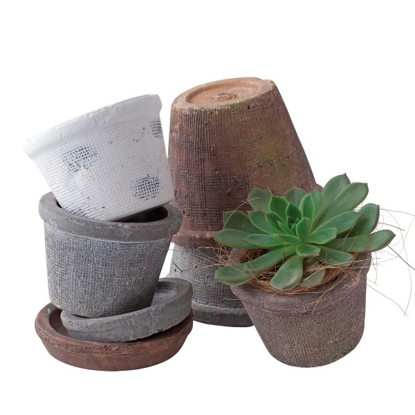 �����٥ݥå�18 �ƥ饳�å��ʥ��å�:6��