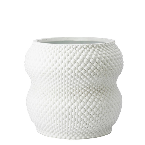 �ɥꥢ��ݥå�18.5�ʥ��åȡ�2��