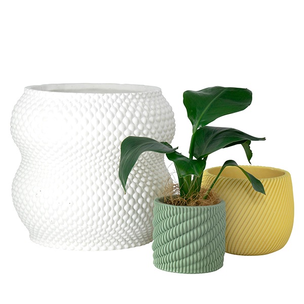 �ɥꥢ��ݥå�18.5�ʥ��åȡ�2��