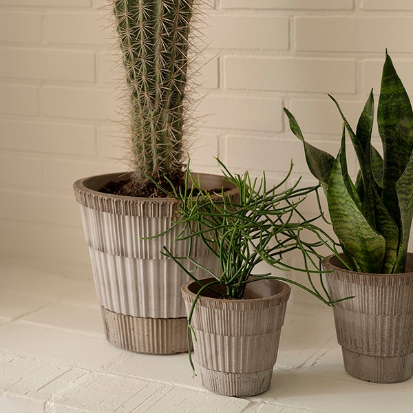 BPȥ饹14 졼ʥåȡ4)