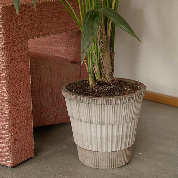 BPȥ饹14 졼ʥåȡ4)