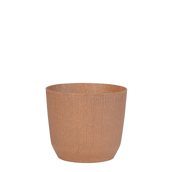 ��SALE��PROSP RYFO�ݥå�15 �ʥ�����ʥ��åȡ�6��