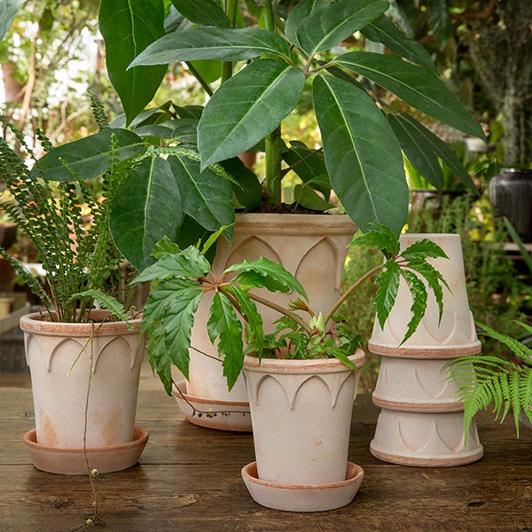 BP���ꥶ�٥�16�ʥ�����ʥ��åȡ�4��