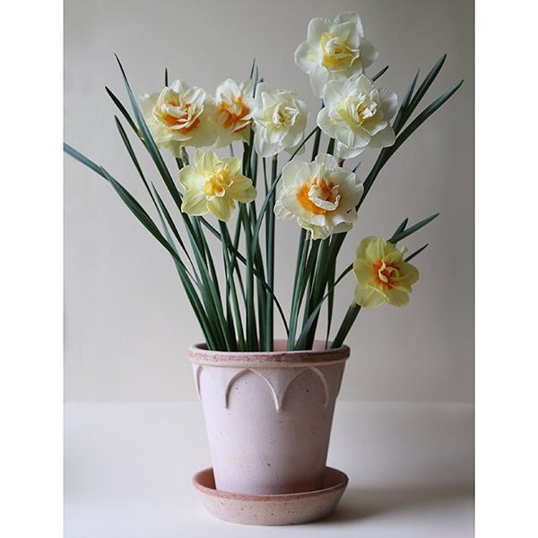 BP���ꥶ�٥�16�ʥ�����ʥ��åȡ�4��