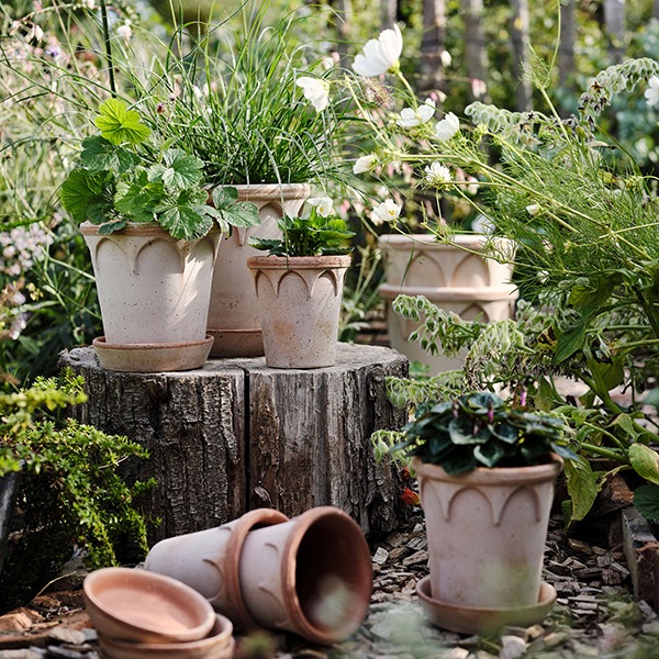 BP���ꥶ�٥�16�ʥ�����ʥ��åȡ�4��