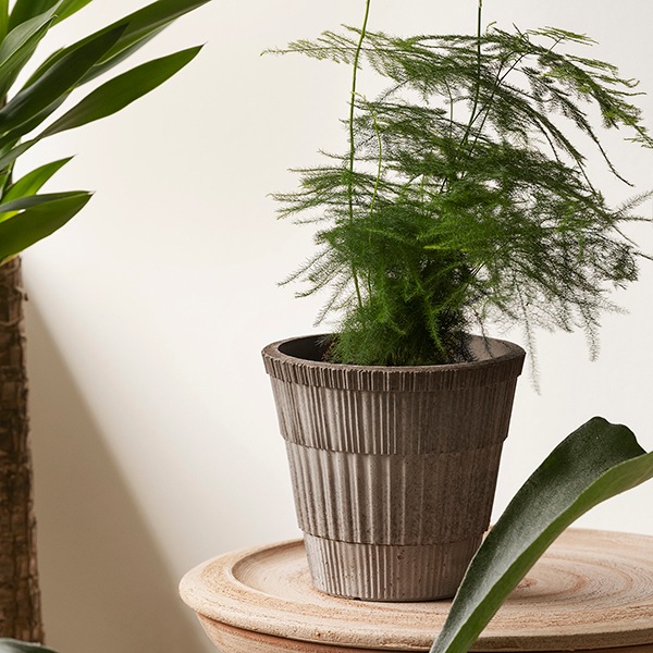 BPȥ饹16 졼ʥåȡ4)