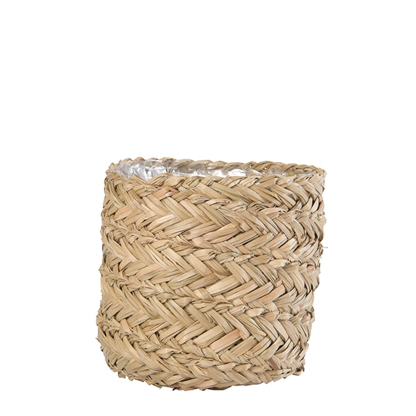 SIG �ץ��ĥХ����å�16�ʥ��åȡ�4��