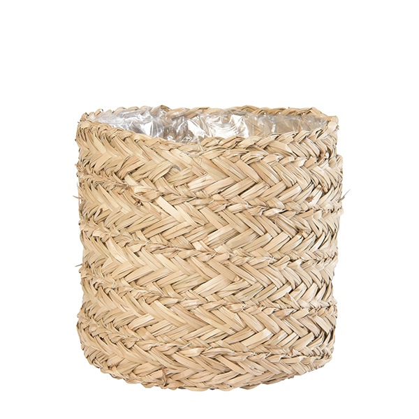 SIG �ץ��ĥХ����å�20�ʥ��åȡ�4��