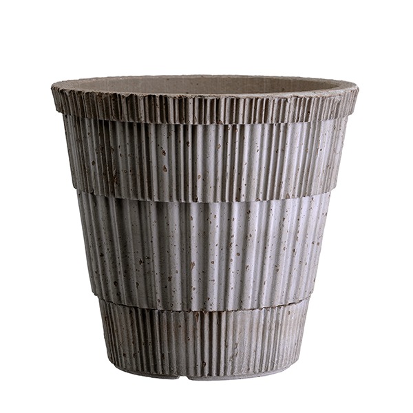 BP���ȥ饹21 ���졼�ʥ��åȡ�2)