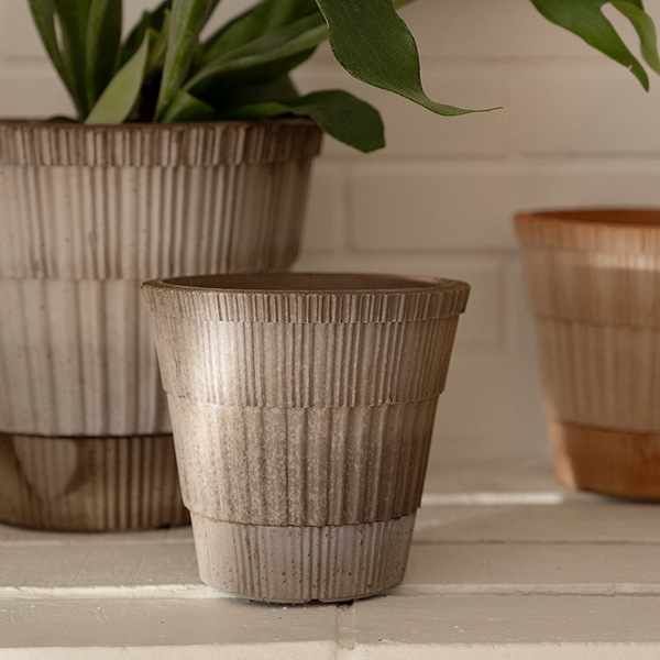 BP���ȥ饹21 ���졼�ʥ��åȡ�2)