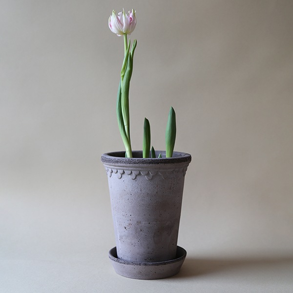 BPڥϡȡ10 졼ʥåȡ4)