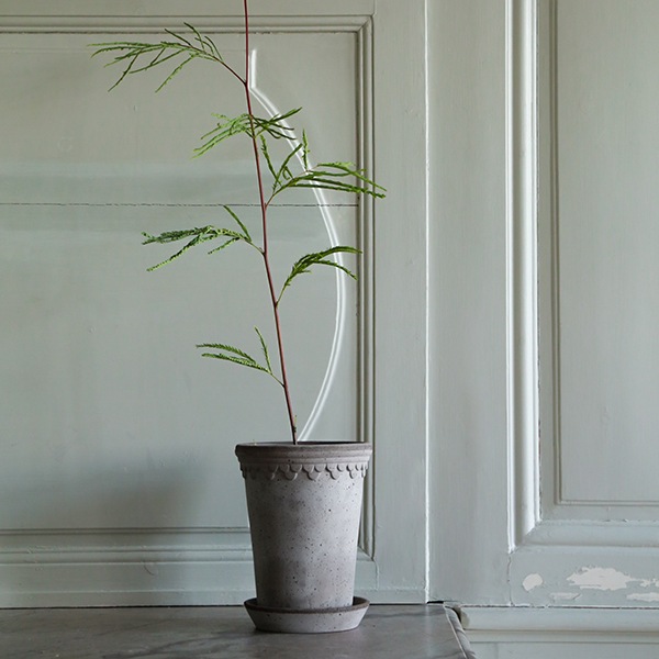 BPڥϡȡ10 졼ʥåȡ4)