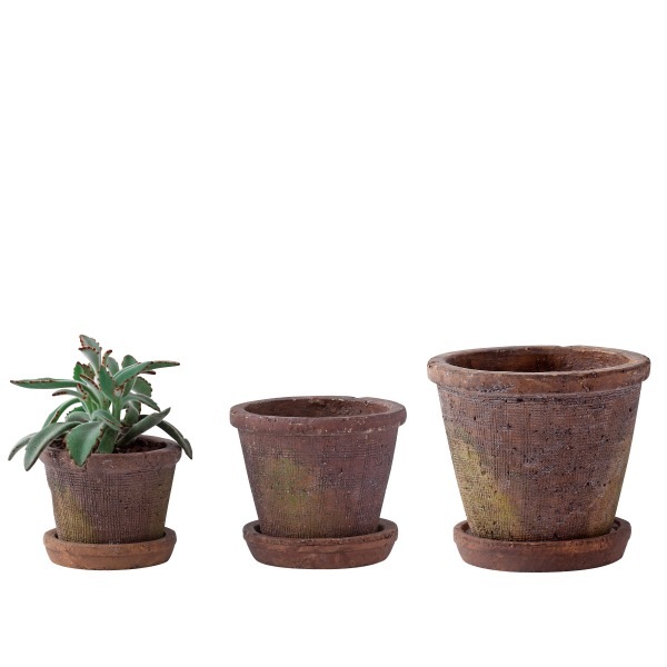 �����٥ݥå�18 �ƥ饳�å��ʥ��å�:6��