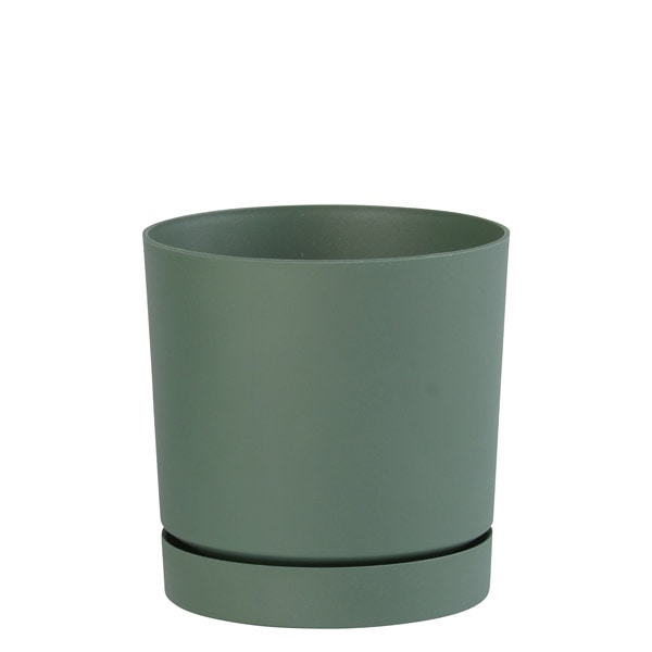 PROSP TUBO���顼�ݥå�11 ���꡼��ʥ��åȡ�8��