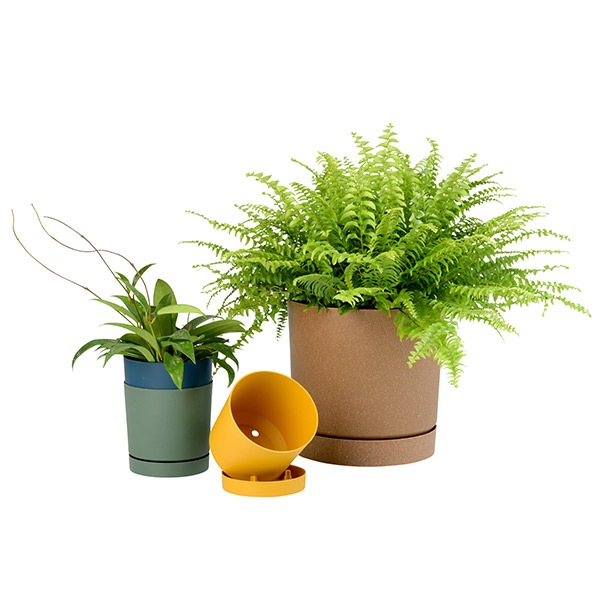 PROSP TUBO���顼�ݥå�11 ���꡼��ʥ��åȡ�8��