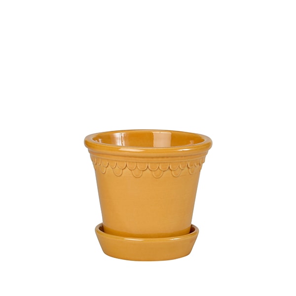 BP ���ڥ�ϡ�����16 ��������GL (���å�:6)