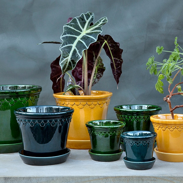 BP ���ڥ�ϡ�����16 ��������GL (���å�:6)