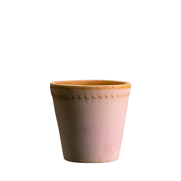 BP�إ�ʥݥå�8.5 �ʥ�����(���å�:6)