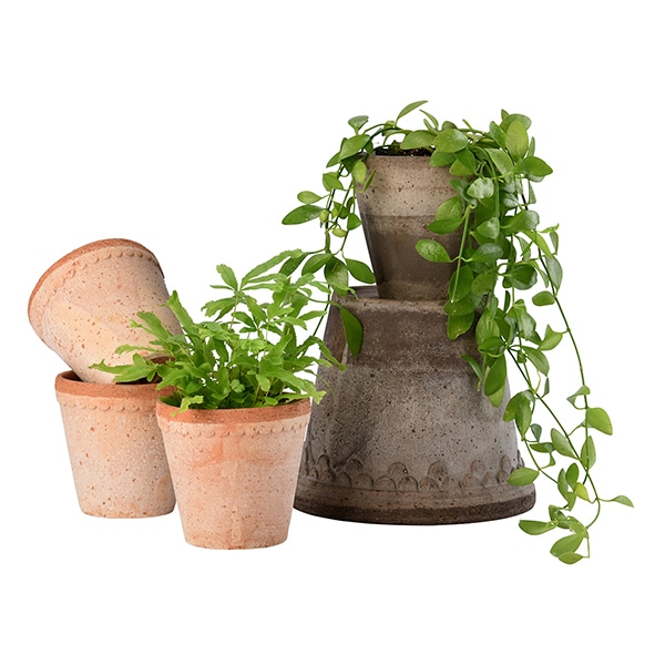 BP�إ�ʥݥå�8.5 �ʥ�����(���å�:6)