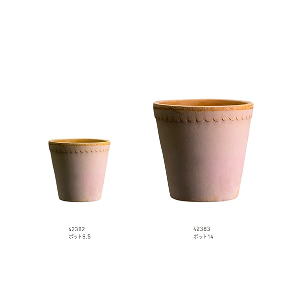 BP�إ�ʥݥå�8.5 �ʥ�����(���å�:6)