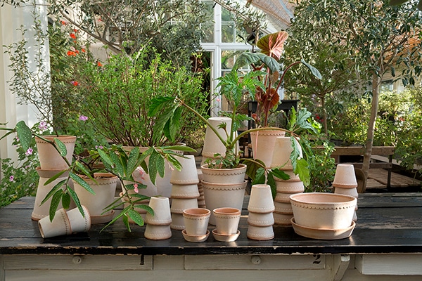 BP�إ�ʥݥå�8.5 �ʥ�����(���å�:6)