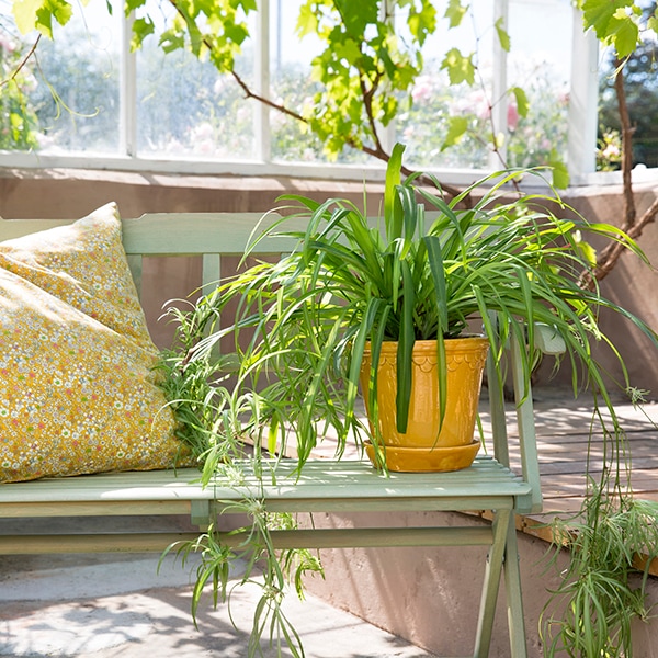 BP ���ڥ�ϡ�����21 ��������GL (���å�:4)