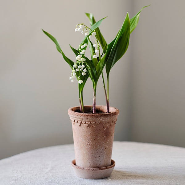 BPڥϡȡ14 ʥʥåȡ2)