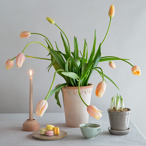 BPڥϡȡ14 ʥʥåȡ2)