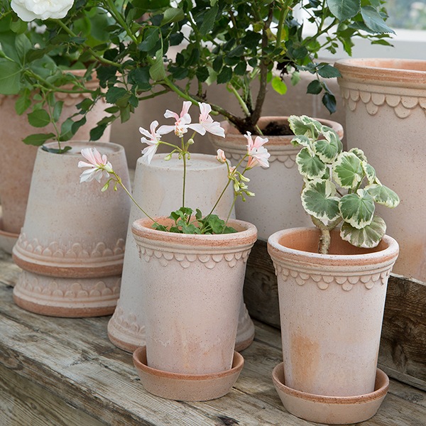 BPڥϡȡ14 ʥʥåȡ2)