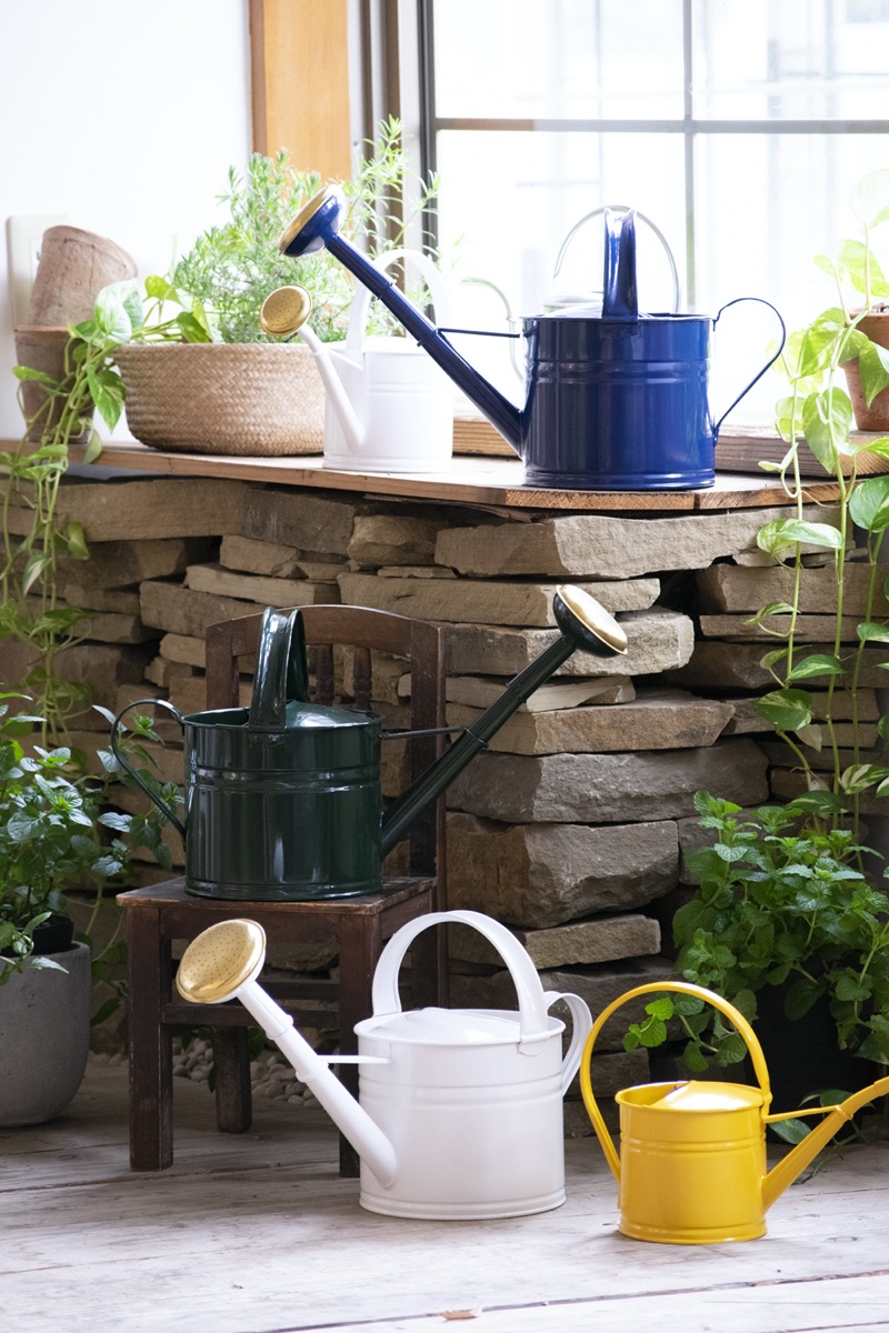 �֥ꥭ����������󥰥���1.5L �ۥ磻�ȡʥ��å�:2��