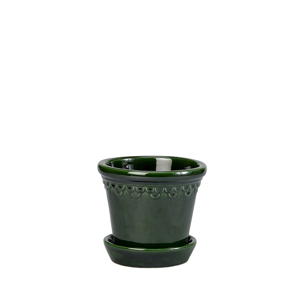 BP ���ڥ�ϡ�����12 ���꡼��GL(���å�:2)