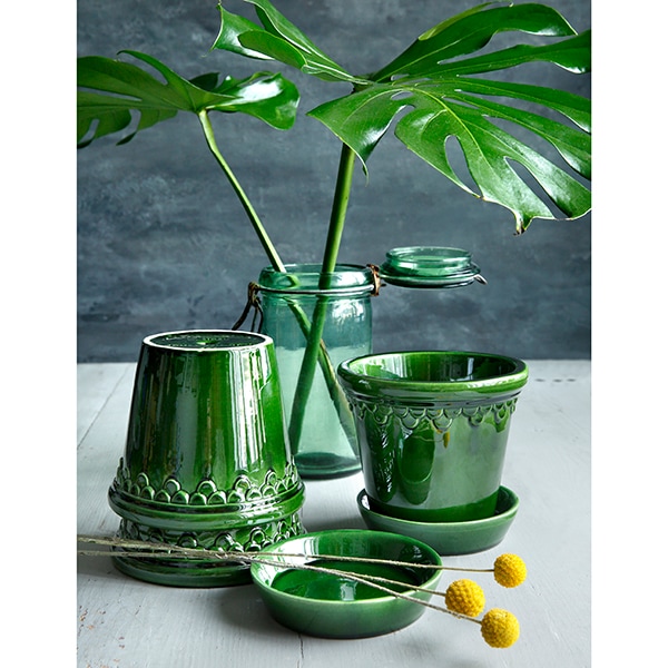 BP ���ڥ�ϡ�����12 ���꡼��GL(���å�:2)