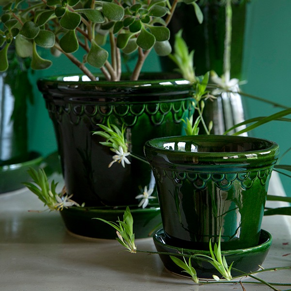 BP ���ڥ�ϡ�����21 ���꡼��GL (���å�:4)